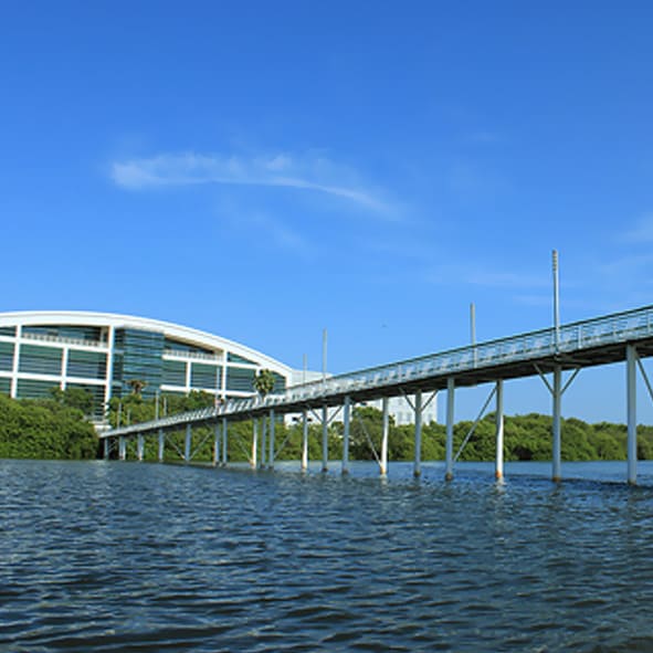 Disfrutar de Laguna del Carpintero